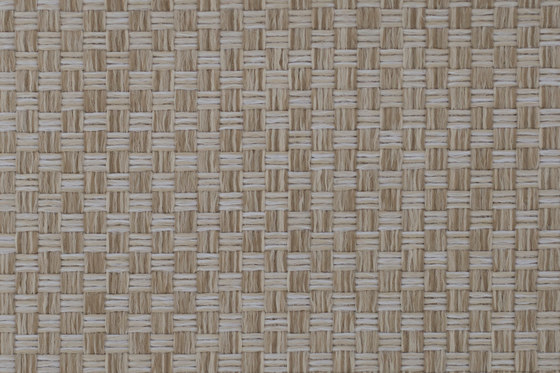 Cara | 15471 | Tejidos tapicerías | Dörflinger & Nickow