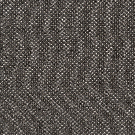 Lapa | 16815 | Drapery fabrics | Dörflinger & Nickow