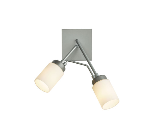 Divergence Outdoor Sconce | Appliques murales | Hubbardton Forge