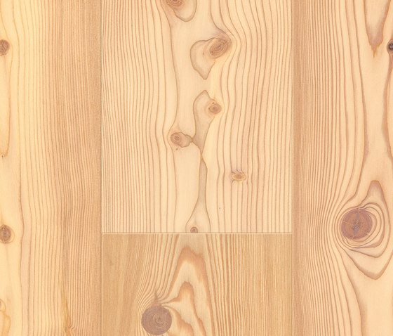 FLOORs Selection XXLong Larch white basic | Suelos de madera | Admonter Holzindustrie AG