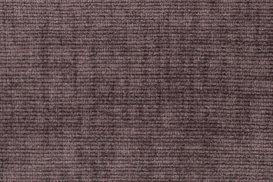 Splendid | 15823 | Upholstery fabrics | Dörflinger & Nickow