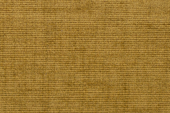 Splendid | 15825 | Upholstery fabrics | Dörflinger & Nickow