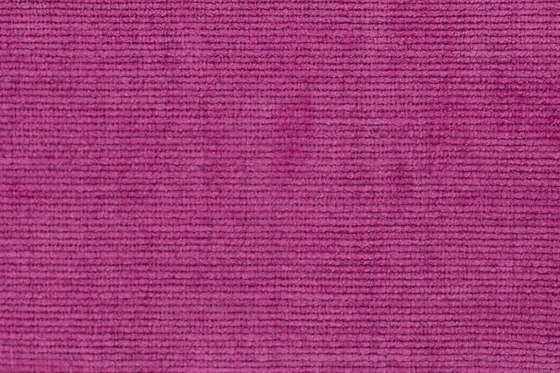 Splendid | 15829 | Upholstery fabrics | Dörflinger & Nickow