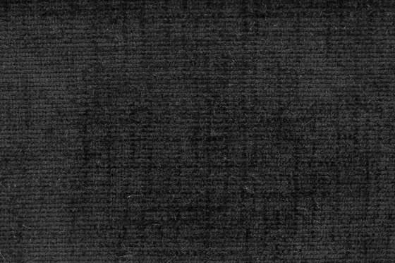 Splendid | 15837 | Upholstery fabrics | Dörflinger & Nickow