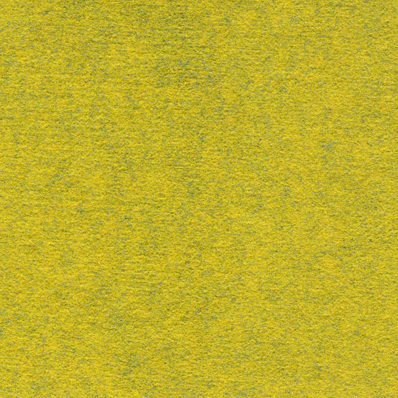 Finett Dimension | 209101 | Carpet tiles | Findeisen