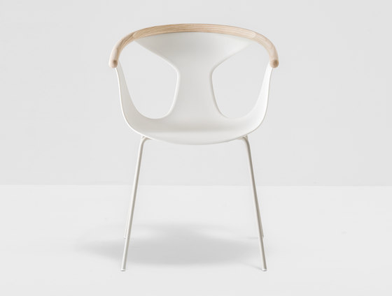 Fox armchair 3726 | Chairs | PEDRALI