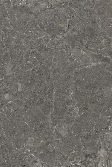 Grey | Illinois Grey | Panneaux en pierre naturelle | Gani Marble Tiles