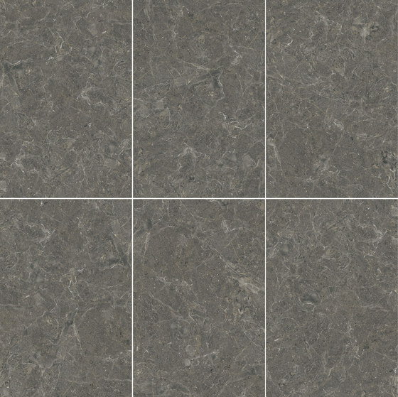 Grey | Illinois Grey | Naturstein Platten | Gani Marble Tiles