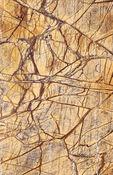 Brown | Rainforest Brown - Polished | Planchas de piedra natural | Gani Marble Tiles