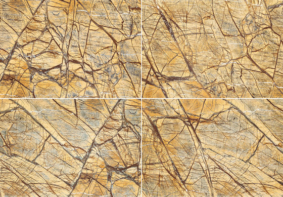 Brown | Rainforest Brown - Polished | Panneaux en pierre naturelle | Gani Marble Tiles