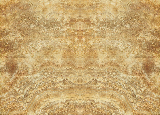 Featuring Wall | Gold Phoenix | Panneaux en pierre naturelle | Gani Marble Tiles