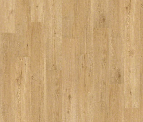 Wood Vinyl Collection | Lastre plastica | Architectural Systems