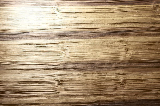 Realism - Antique Walnut | Wall veneers | Architectural Systems