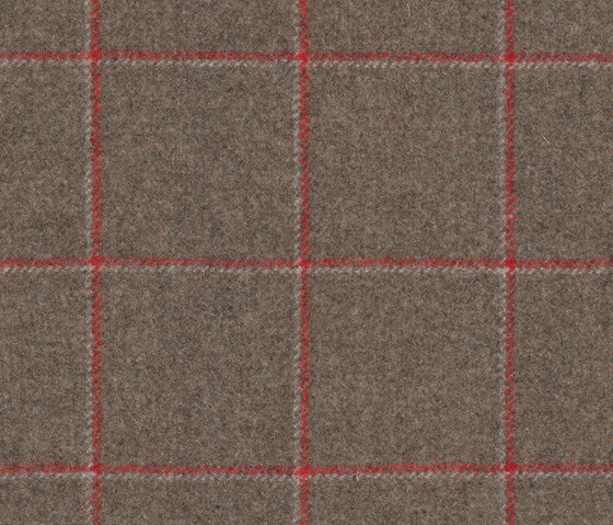 Lumber Jane | Pents | Upholstery fabrics | Anzea Textiles