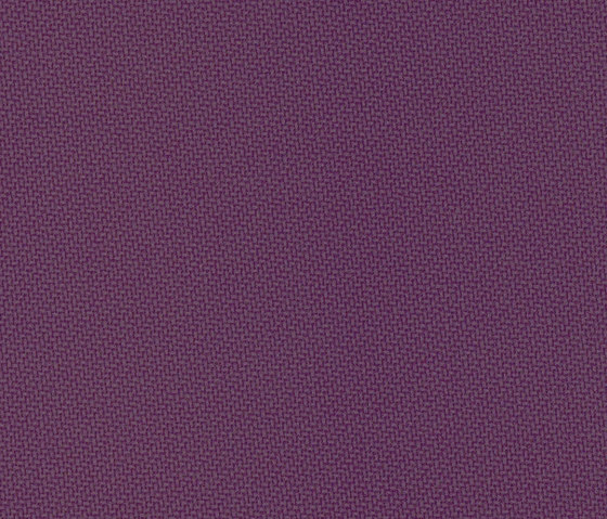 Track Suit | Purple | Tissus d'ameublement | Anzea Textiles