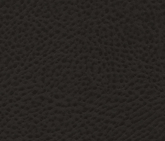 Roadster  | Black Chassis | Upholstery fabrics | Anzea Textiles