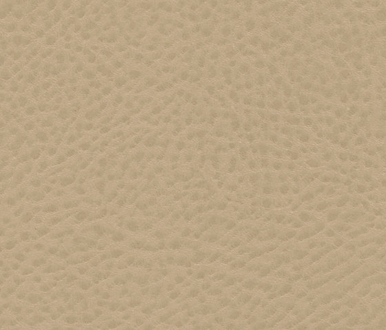 Roadster | Rumble Seat | Upholstery fabrics | Anzea Textiles