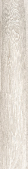 Steam wood | pearl white natural | Carrelage céramique | Cerdisa