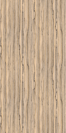 Light Wood Grains | Verbundwerkstoff Platten | Architectural Systems