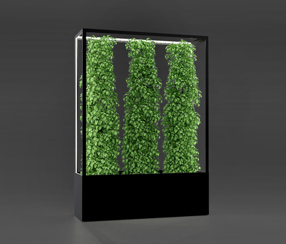 Cube Wall 1600 | Screening panels | lasfera