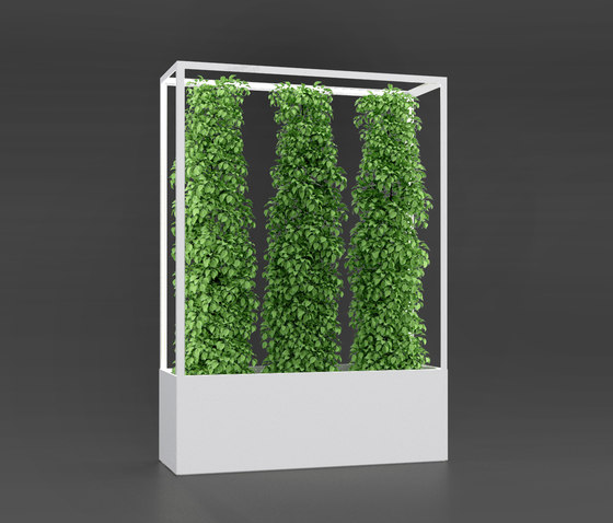 Cube Wall 1600 | Sichtschutz | lasfera
