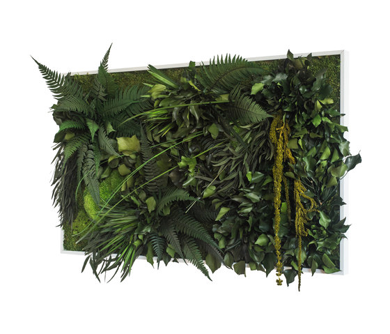 plant picture | jungle 100x60cm | Pareti vegetali | styleGREEN