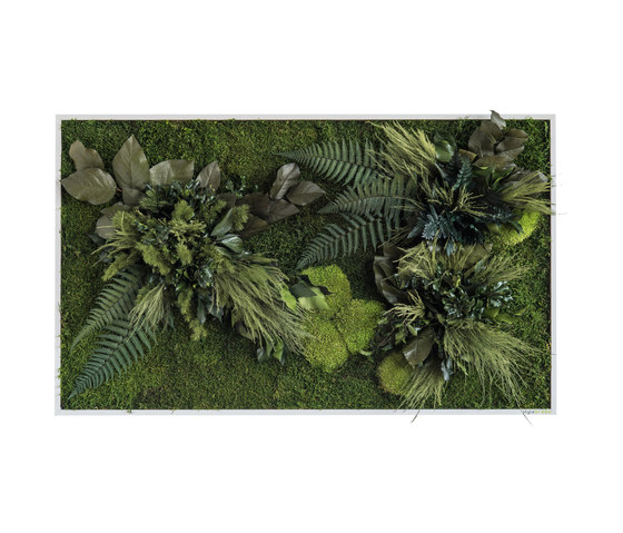 Pflanzenbild | Pflanzeninseln 100x60cm | Pflanzenwände | styleGREEN