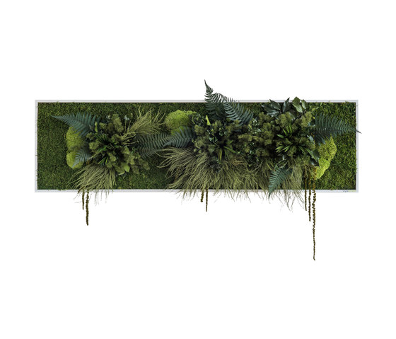 Pflanzenbild | Pflanzeninseln 140x40cm | Pflanzenwände | styleGREEN