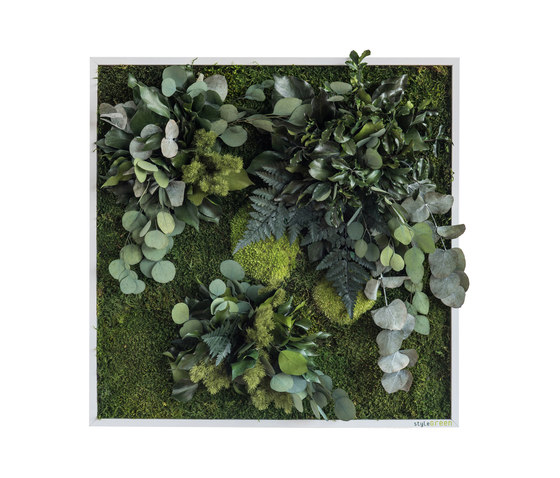 Pflanzenbild | Pflanzeninseln 55x55cm | Pflanzenwände | styleGREEN