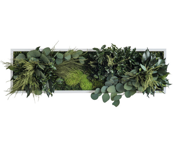 plant picture | plant islands 70x20cm | Living / Green walls | styleGREEN