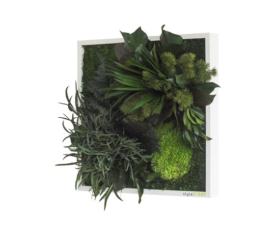 plant picture | plant islands 35x35cm | Pareti vegetali | styleGREEN