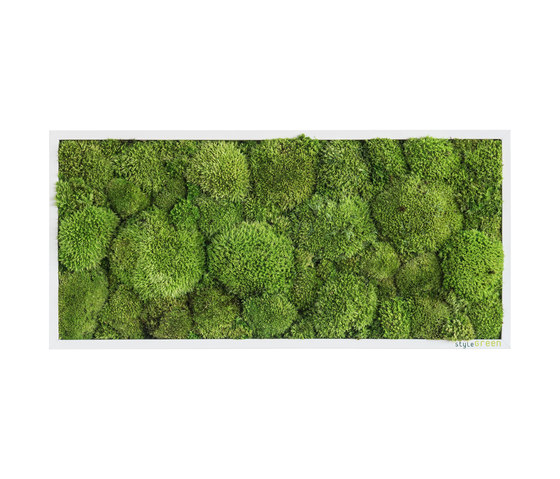 Moosbilder | Kugelmoosbild 57x27cm | Pflanzenwände | styleGREEN