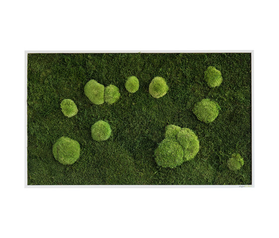 Moosbilder | Wald- und Kugelmoosbild 100x60cm | Pflanzenwände | styleGREEN