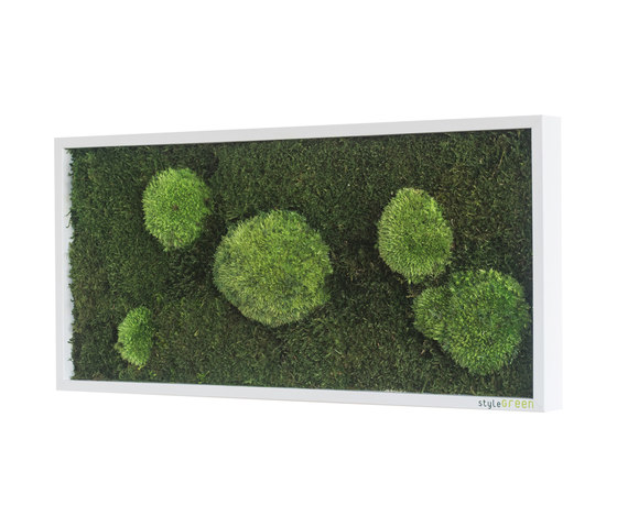 Moosbilder | Wald- und Kugelmoosbild 57x27cm | Pflanzenwände | styleGREEN
