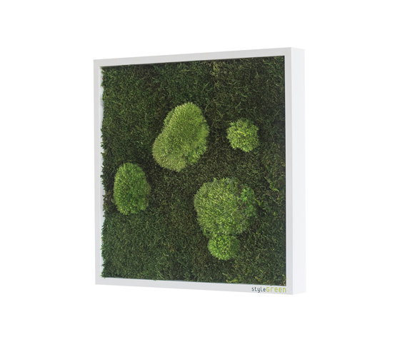 Moosbilder | Wald- und Kugelmoosbild 35x35cm | Pflanzenwände | styleGREEN