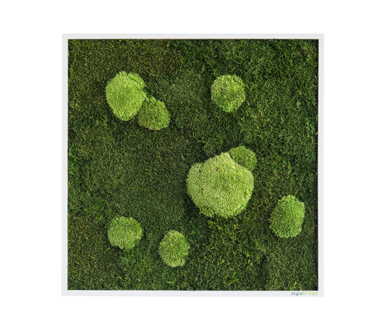 moss picture | pole and forest moss picture 55x55cm | Parades verdes / jardines verticales | styleGREEN