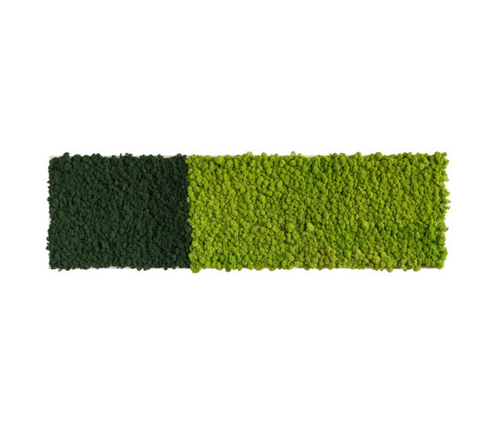 reindeer moss picture 140x40cm | Objets acoustiques | styleGREEN