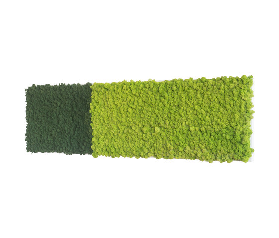reindeer moss picture 140x40cm | Objets acoustiques | styleGREEN