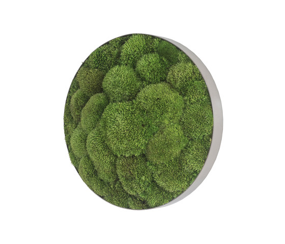 ellipsoid | pole moss 34cm | Pareti vegetali | styleGREEN