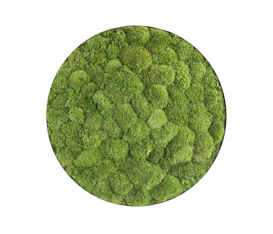 ellipsoid | pole moss 54cm | Living / Green walls | styleGREEN