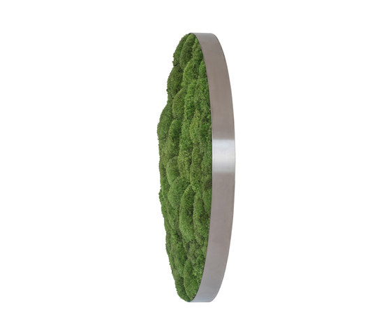 ellipsoid | pole moss 54cm | Parades verdes / jardines verticales | styleGREEN