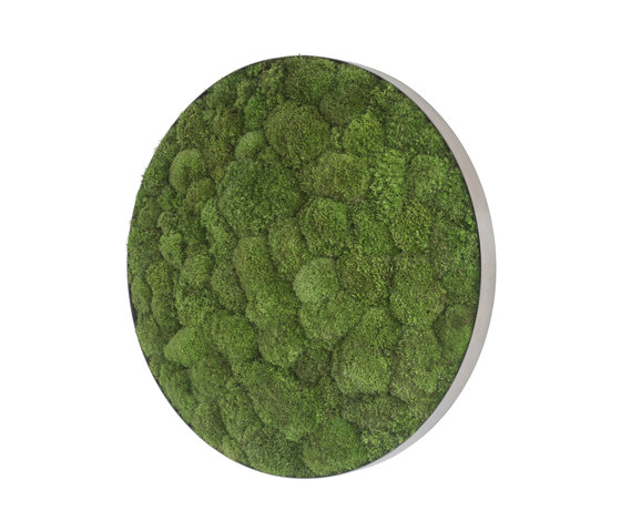 ellipsoid | pole moss 54cm | Murs végétaux | styleGREEN
