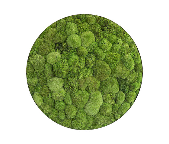 ellipsoid | pole moss 80cm | Murs végétaux | styleGREEN