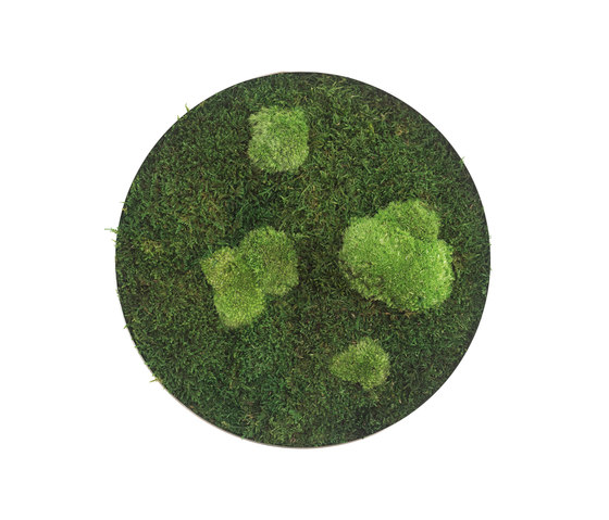 circle | forest and pole moss 34cm | Living / Green walls | styleGREEN