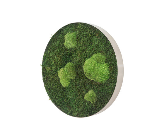 circle | forest and pole moss 34cm | Parades verdes / jardines verticales | styleGREEN
