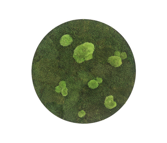 circle | forest and pole moss 54cm | Parades verdes / jardines verticales | styleGREEN