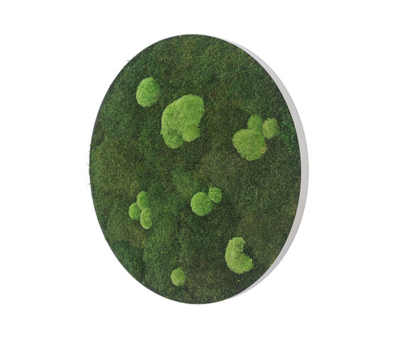 circle | forest and pole moss 54cm | Parades verdes / jardines verticales | styleGREEN