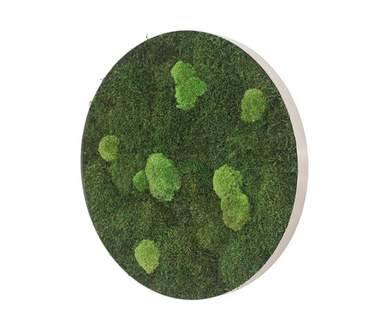 circle | forest and pole moss 80cm | Murs végétaux | styleGREEN