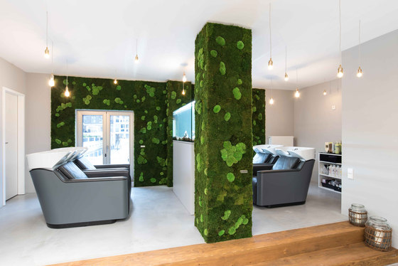 individual | greening forest and pole moss | Living / Green walls | styleGREEN