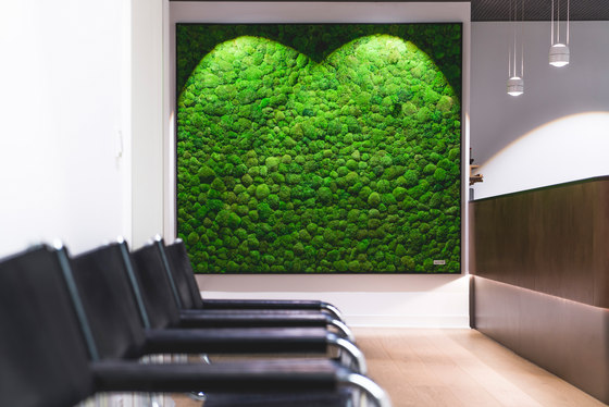 individual | greening pole moss | Murs végétaux | styleGREEN